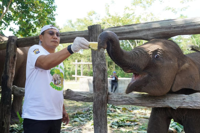 Aktivitas gajah Tari. (Instagram)